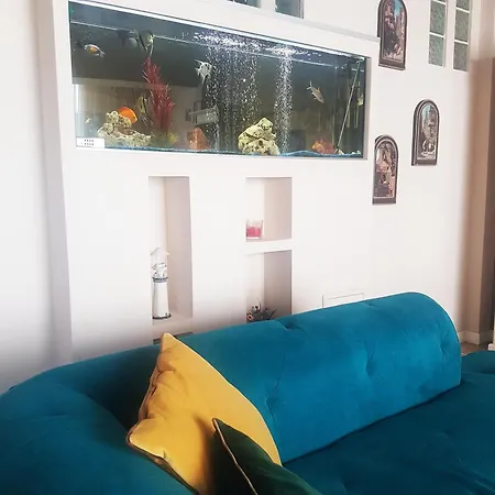 City Apartment 1 * Brasov